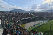 Avellino Mantova Biasci