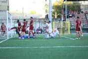 real aversa turris